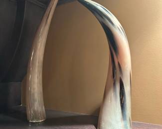Collection of Horn / Tusks from RESTORATION HARDWARE