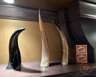 Collection of Horn / Tusks from RESTORATION HARDWARE