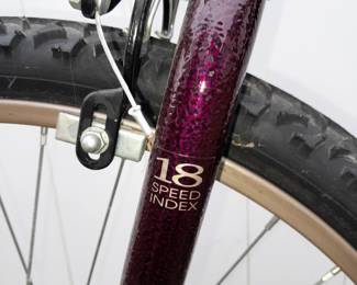 Grand Teton F.S. Elite 18 Speed Index Purple Bicycle