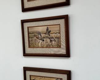 Framed Duck Art