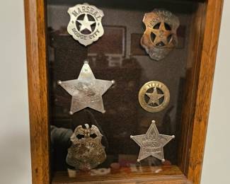 Real and toy government badges