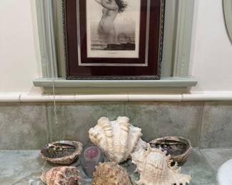 Beauties from The Sea