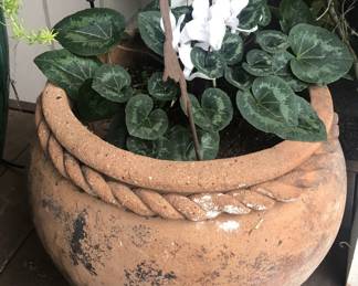 Potted plant front porch