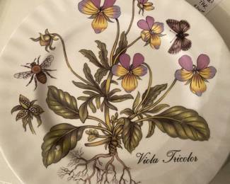 Elegance -  "Viola Tricolor" -fine bone china from England