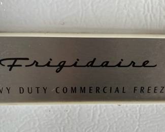 Frigidaire Heavy Duty Commercial Freezer