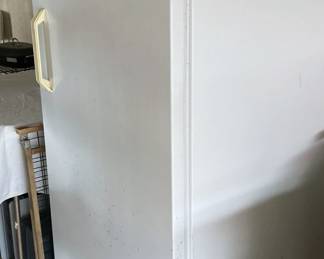 Frigidaire Heavy Duty Commercial Freezer