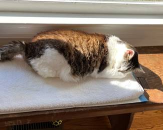 It will take some serious sun for me to feel safe again.