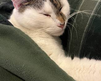 I took a long nap after I resigned.
