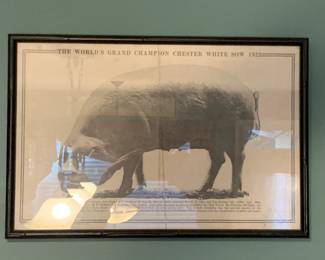 Great Selection of Framed Art Throughout the House