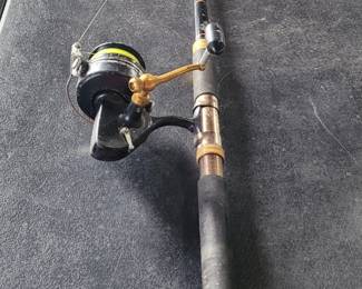 Abu Garcia heavy duty 6' rod and Penn reel