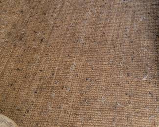 Sisal area rug