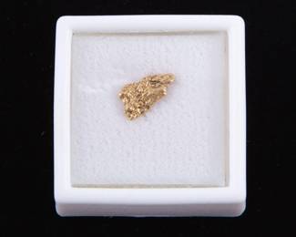 Canadian Gold Nugget - 1 gram
Estimate
$50
-
$100