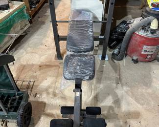 Gold Gym Weight Bench with Weights
