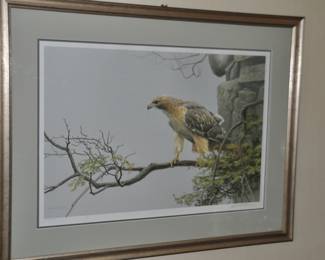 Robert Bateman (Canadian, b 1931) "Red Tail Hawk by the Cliff" c. 1980,  Signed and Numbered Limited Edition Print 374/950. Image measures 19 1/2" x 23 3/4".