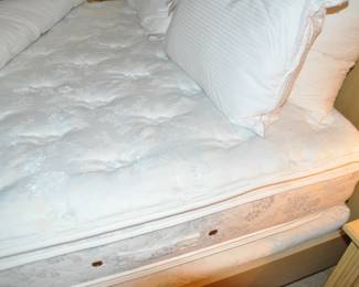 Queen Sized Beautyrest "Crescendo" Pillow Top Mattress and Box Spring