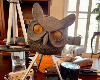 what do you do when you have just an Owl head and a tri-pod you're not using.....  