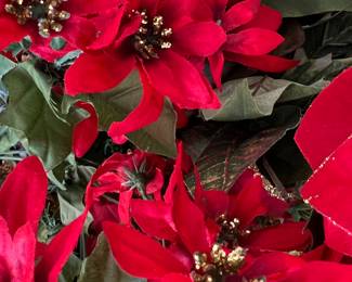 Silk Poinsettias