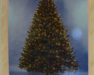 Photo of the 12 Christmas tree (comes in two large boxes).  One more tree that is 6 foot tall in original box. Two other smaller trees also.