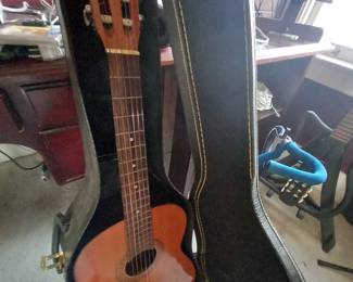 Beautiful acoustic guitar