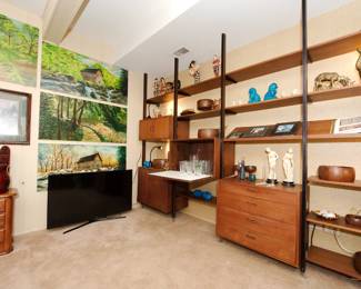 Flat screen smart tv