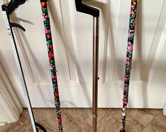 Canes and Reacher/Grabber