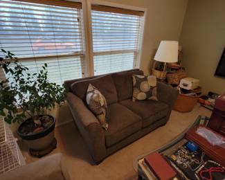 couch, plants, furniture