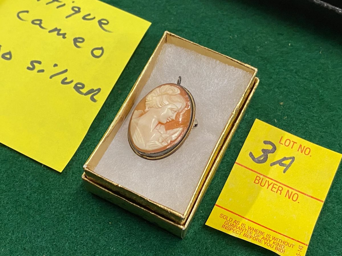 Live Auction in San Benito! starts on 2/24/2024