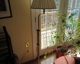 Floor lamp, plants, pictures and more