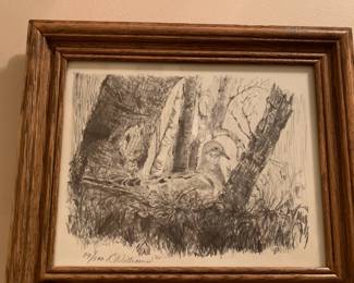 #97	Rosemary Williams Pen and Ink Print 89/500 Dove	 $75.00 
