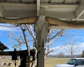 Notice the longhorn skull hanging 