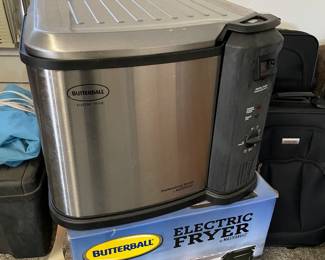 New Electric Fryer 