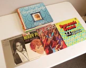 Vinyl Records Selection (Total of 24) 