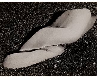 254
Edward Weston
1886-1958
"Eroded Rock, Point Lobos," 1930
Gelatin silver print on paper
Signed, titled, dated, and inscribed in pencil on the sheet, verso: Edward Weston / 51R; with pencil notations along the lower edge of the back mat
Image/Sheet: 6.625" H x 9.5" W
Estimate: $5,000 - $6,000