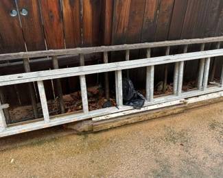 #11012 • 2 Ladders