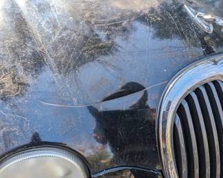 THERE IS A DENTED SCRATCH FROM THE CLIENT'S CARPORT FALLING ON IT.