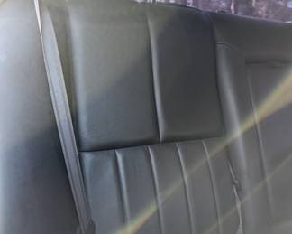 REAR PASSENGER SEAT BACK (SORRY ABOUT THE SUN GLARE)