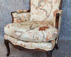 Antique Hand Carved French Chair Bird and Vine Upholstery Down Bergere Chair
