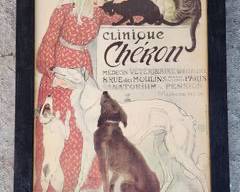French Reproduction Veterinarian Cinque Cheron Framed Poster

