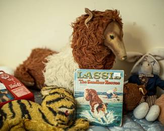 Knickerbocker Lassie