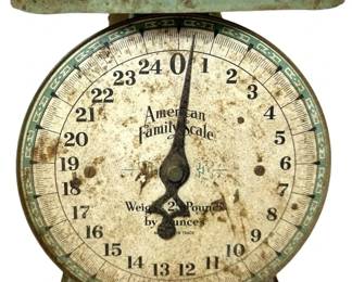 Vintage American Family Scale