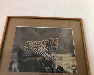 Big cat framed poster