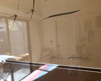 Eve Fletcher bird art