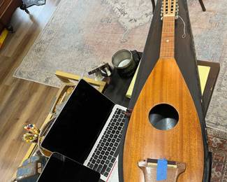 Electric Dulcimer.  Needs a little work.