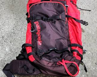 Pantagonia Back Pack