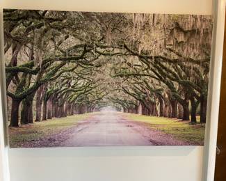 Large photographic print