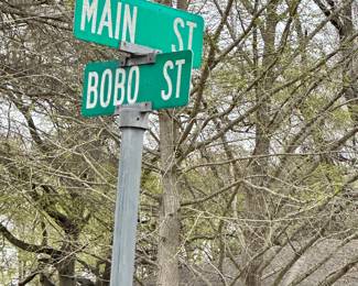 If you have trouble with your GPS look for the street sign the sale is near the corner of bobo st and main st in Lyon / clarksdale Mississippi 