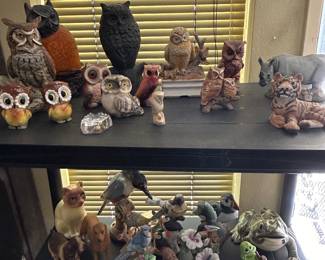 Shelves filled with collectibles.