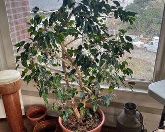 Overview of some of the items for sale during in-person shopping hours on Friday and Saturday.