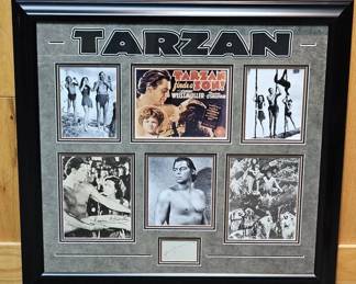 Tarzan Classic Film Autograph Display