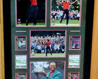 Artistic Tiger Woods Framed Display